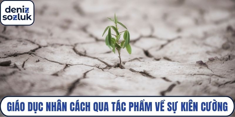 Giáo dục nhân cách qua tác phẩm về sự kiên cường