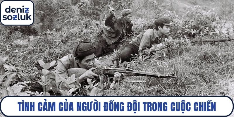Tình cảm của người đồng đội trong cuộc chiến