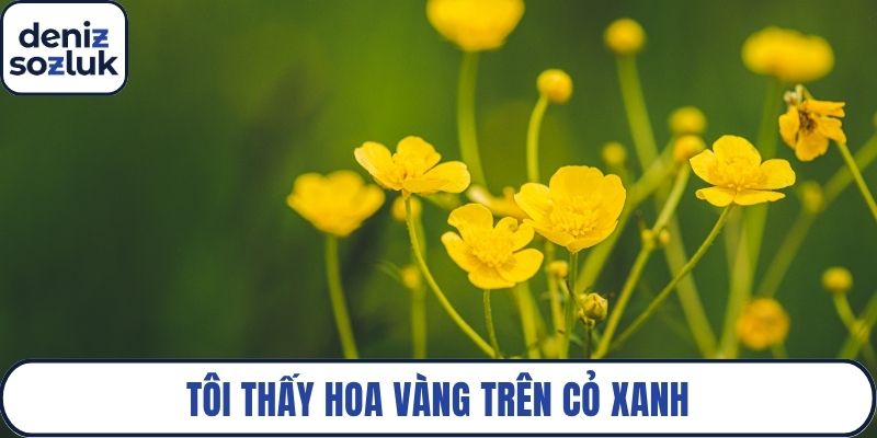 Tôi thấy hoa vàng trên cỏ xanh