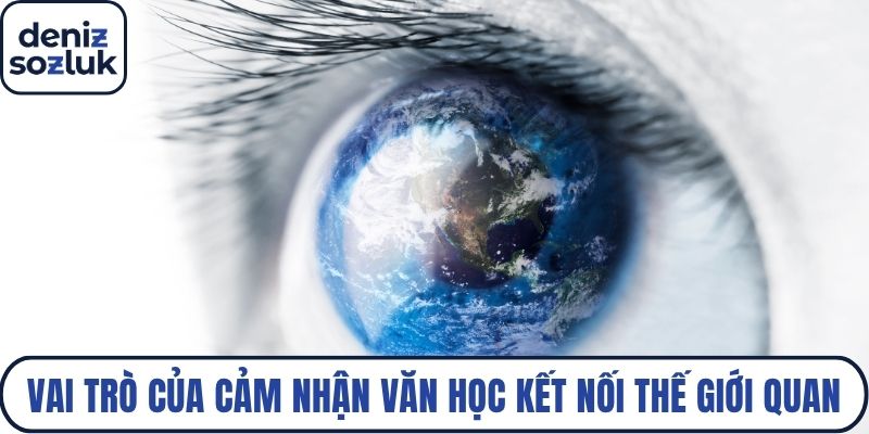 Vai trò của cảm nhận văn học là kết nối thế giới quan
